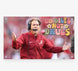 Do Dilfs not Drugs Flag Flag Co